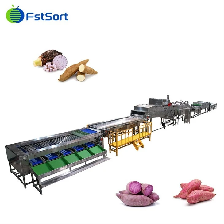 sweet potato cleaning grading line3